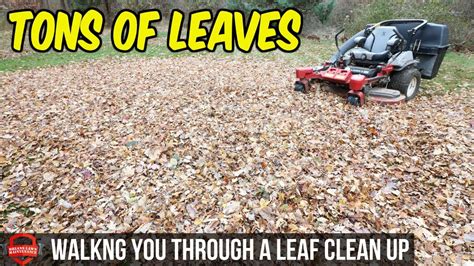 How To Do A Fall Leaf Clean Up In Hours Bagging Leaves