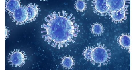 Bold Therapeutics Receives Additional Funding to Support Development of ...