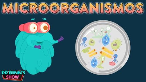 ¿qué Son Los Microorganismos Las Bacterias Los Virus Y Los Hongos