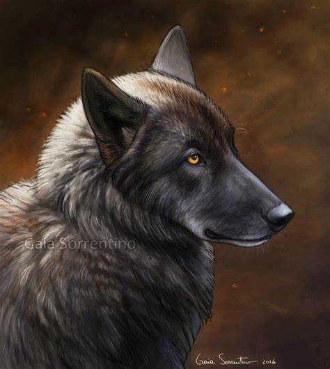 Black Wolf I By Makangeni On Deviantart