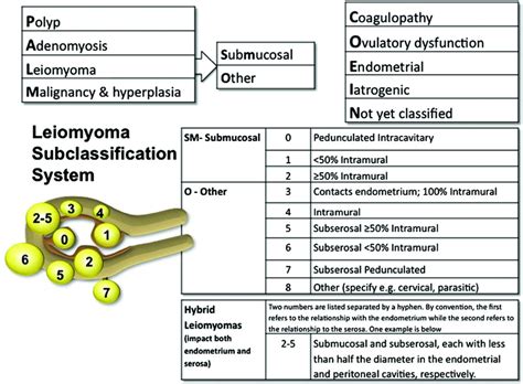 Fibroids: Is surgery the only management approach? | MDedge