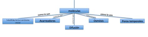 Mayte Biologia Iii Mapa Conceptual De La Lectura Que Se Entiende