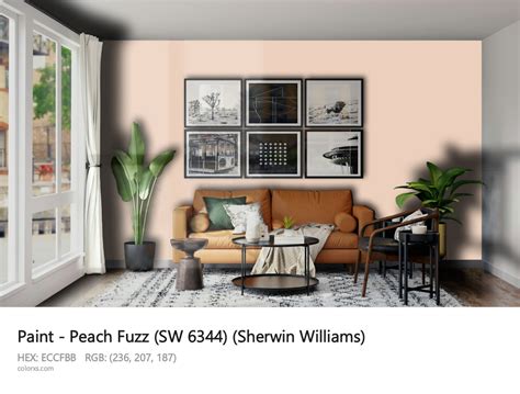 Sherwin Williams Peach Fuzz SW 6344 Paint Color Codes Similar Paints