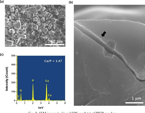 Figure 1 From Preparation And Characterization Of Silanized Hydroxypropyl Methylcellulose Phase