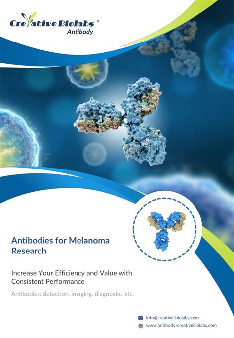 PPT - BRAF antibody for melanoma research PowerPoint Presentation, free ...