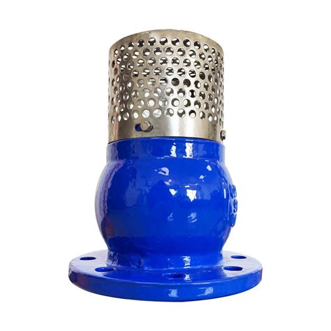 Lift Foot Valve ANSI Pn10 Pn16 DN50 DN300 Filter Cast Iron Body Blue