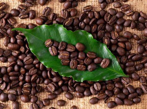 Grano de café tostado en bolsa de linin Foto Premium