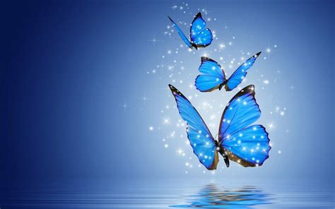 Butterfly Wallpapers For Laptop