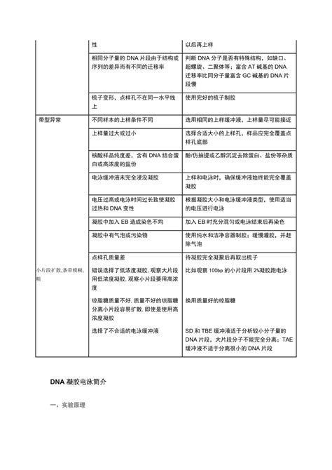 琼脂糖凝胶电泳常见问题分析