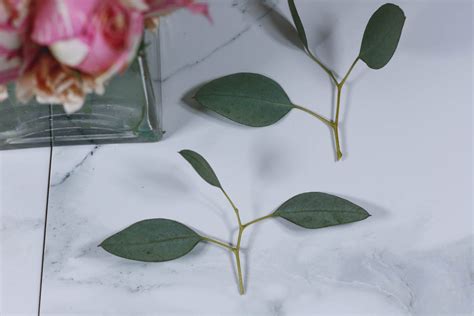 How To Arrange Flowers Like A Pro Part Quartz Leisure