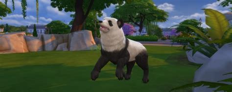 Panda, Badger And Desert Fox - Sims 4 Pets