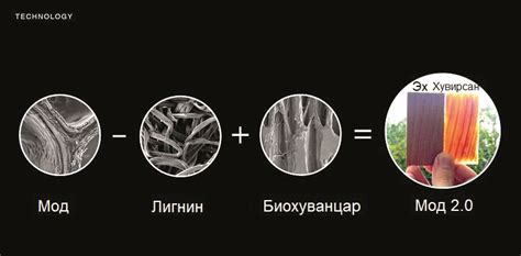 Гэрэл нэвтрүүлдэг модон эдлэл