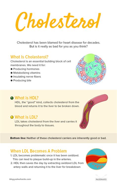 Your Guide To Good Vs Bad Cholesterol PaleoHacks