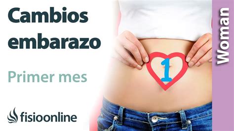 Embarazo Conoce Que Pasa En Tu Cuerpo Durante El Primer Mes Fisioonline