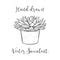 Succulent Plant In A Concrete Flower Pot Hand Drawn Black And White