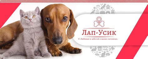 Зоомагазин Лап-Усик Днр | «Лап-Усик» подобрал в свой ассортимент самые ...