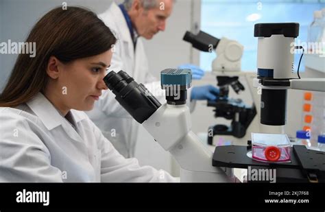 Researcher Viewing Stem Cell Cultures Under A Microscope In A