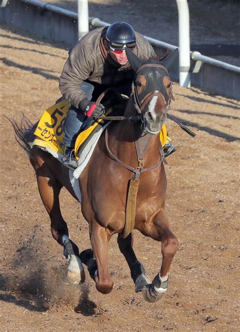 【中山記念】小回り千八の申し子トーセンスーリヤ｜競馬ニュース｜競馬予想のウマニティ