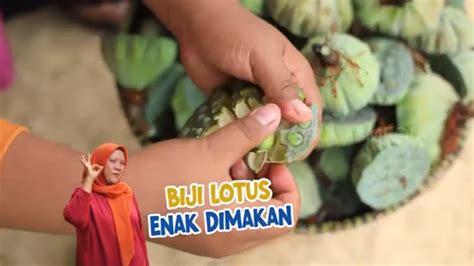 Mengolah Biji Lotus Jadi Cemilan Nikmat Enah Bikin Enak