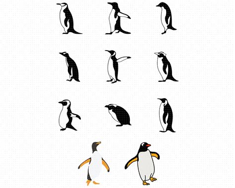 Penguins Svg Penguin Bundle Png Dxf Clipart Eps Vector By