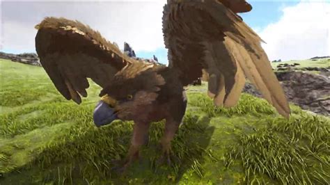 Ark Griffin Evcille Tirme I Ark Griffin Taming I Ark Survival Evolved