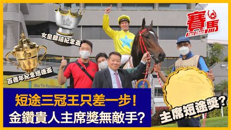 4月30日主席短途獎台柱金鑽貴人拍潘頓 爭做三冠短途馬王睇齊喜勁寶、精英大師！兩屆盟主福逸爭冧莊 想三勝對手有難度！緊張大師缺席益咗好眼光 韋