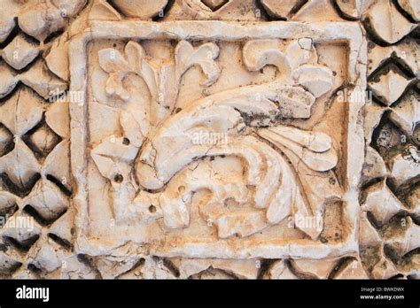 Relief Sheet Leaf Ornaments Historical Stone Relief Baalbek Bekaa Level