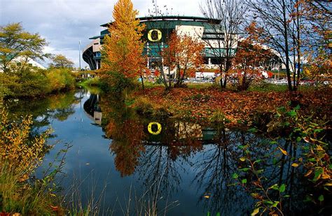 Reflection Of Fall At Autzen Stadium Oregon Football Eugene Oregon