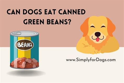 Can Dogs Eat Canned Green Beans Canned Food And Dog