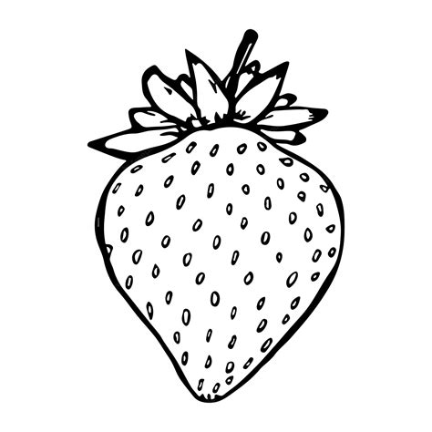 Strawberry Clipart Black And White Nice Clip Art Clipart Library