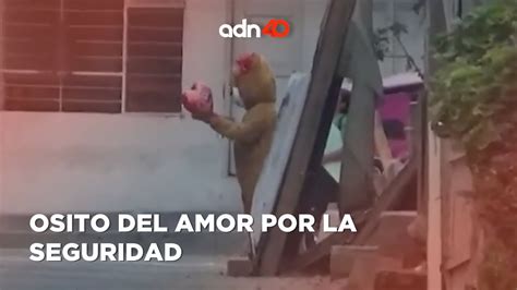 Polic A Se Disfraza De Oso De Peluche Para Detener A Delincuentes I