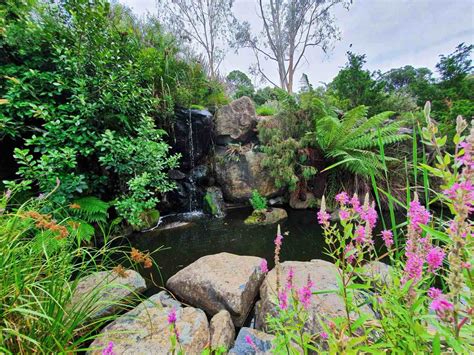 A Great Guide To The Australian National Botanical Gardens In Canberra The Travel Vine