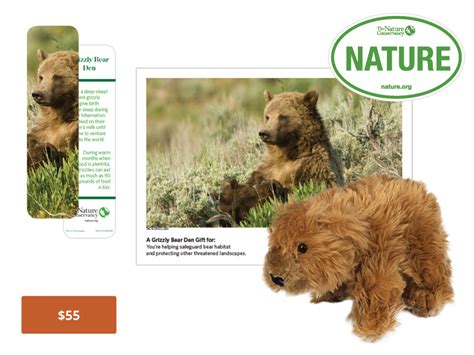 Grizzly Bear Den - The Nature Conservancy