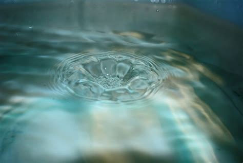 Petal In Water