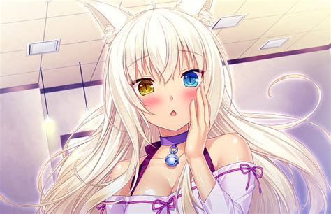 Online Crop Hd Wallpaper Anime Nekopara Chocola Nekopara