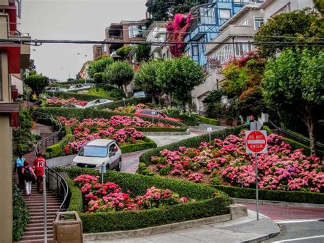 Well worth the climb. - Review of Lombard Street, San Francisco, CA ...