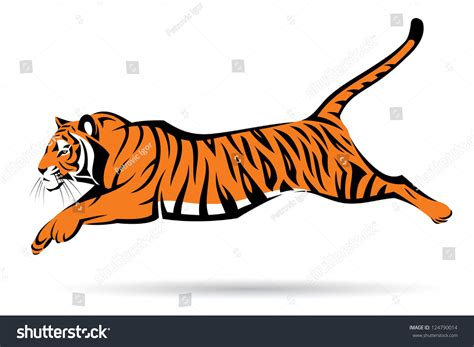 Tiger Jump: Over 5,194 Royalty-Free Licensable Stock Illustrations & Drawings | Shutterstock