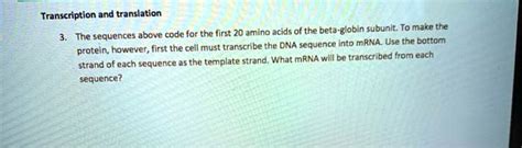 Solved Transcription And Translation The Above Code For The First 20