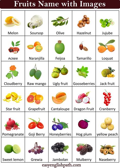 List Of Fruits Vocabulary In English With Pictures Fruit List Fruits