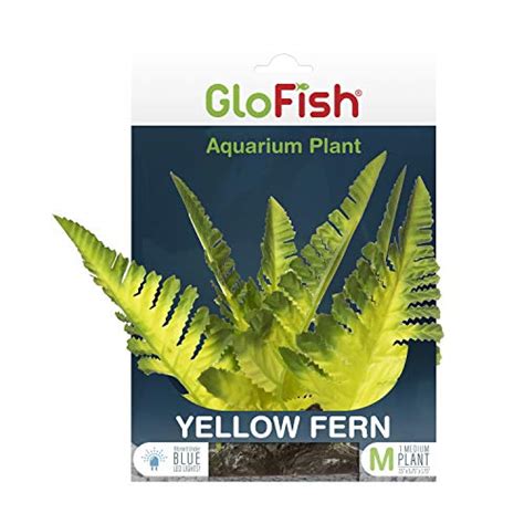 I Tested And Ranked The Best Glofish Plants For Aquarium In 2024: And ...