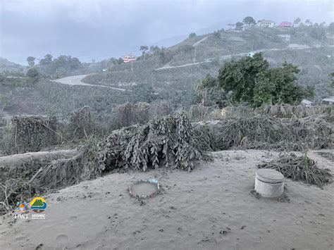 Agriculture Under the Shadow of La Soufrière – Caribbean Investigative ...