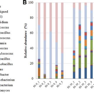 Relative Abundance Of The Most Prevalent Bacteria In Hi Hi