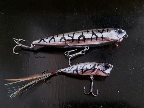DUO Realis Pencil 130 & Realis Popper 64 (Silver Tiger) | Fishing lures ...
