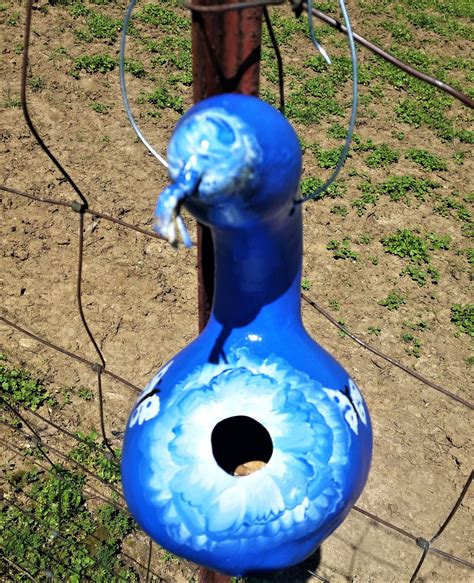 Blue Rose And Butterflies Hand Painted Gourd Birdhouse Outdoor Acrylic