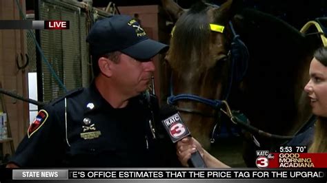 A Look At The Lafayette Police Departments Mounted Patrol Youtube