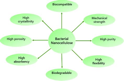 Characteristics Of Bacterial Nanocellulose Download Scientific Diagram