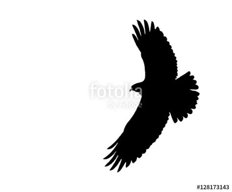 Buzzard Silhouette at GetDrawings | Free download