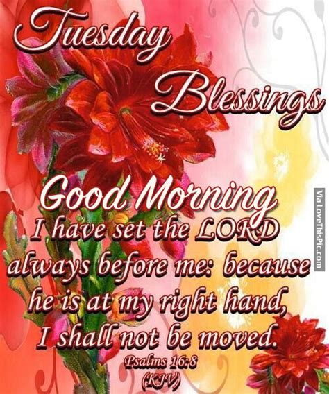 Tuesday Blessings Good Morning Pictures Photos And Images For