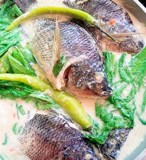 Paksiw Na Tilapia Sa Gata Mama S Guide Recipes Artofit