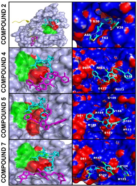 Models of NS3/4A-inhibitor complexes. Left panels, NS3/4A is shown as a ... 